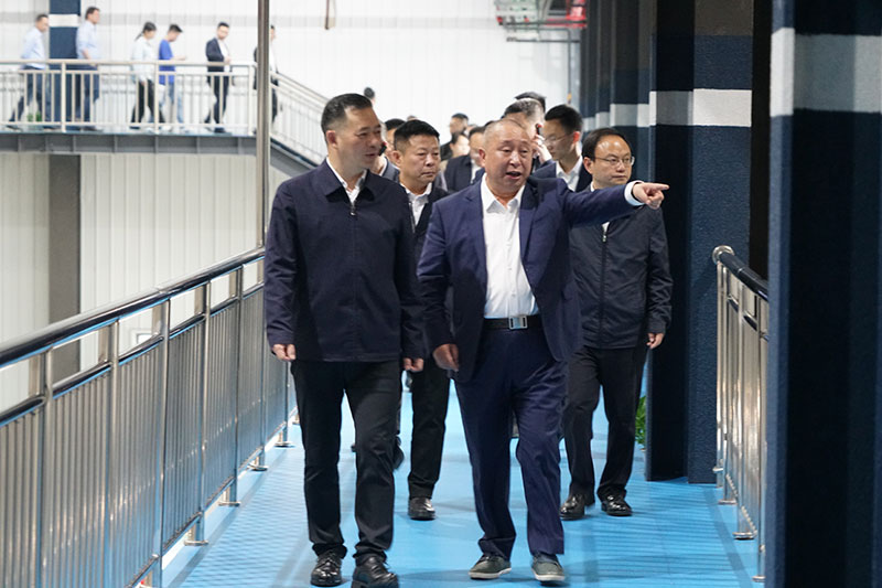 42604685.jpg DSC07987.jpg